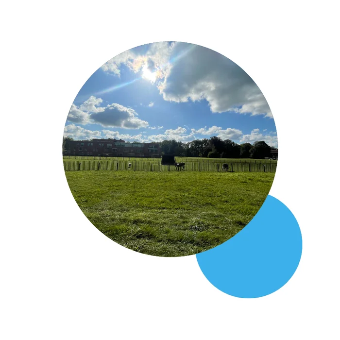 Dierenweide